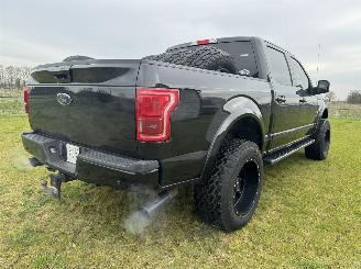 Ford USA F-150  picture 5