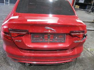 uszkodzony samochody osobowe Jaguar XE  2020/1