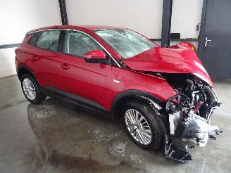 Voiture accidenté Opel Grandland 1.2 THP AUTOMAAT 2020/6