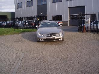 škoda osobní automobily Mercedes CLS CLS 320 CDI 2008/1