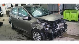 Voiture accidenté Kia Picanto Picanto (JA), Hatchback, 2017 1.0 12V 2019/3