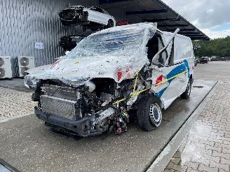 skadebil auto Volkswagen Transporter T6 Kasten 2020/4