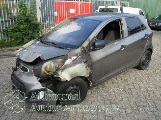 damaged passenger cars Kia Picanto Picanto (TA) Hatchback 1.0 12V (G3LA) [51kW]  (05-2011/06-2017) 2012/3