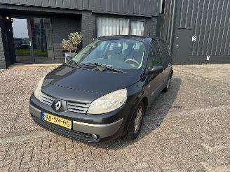  Renault Grand-scenic 2.0-16v 7-persoons 2006/4