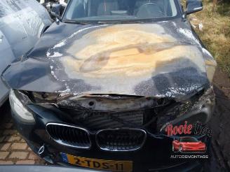 uszkodzony samochody osobowe BMW 1-serie 1 serie (F20), Hatchback 5-drs, 2011 / 2019 116d 1.6 16V Efficient Dynamics 2014/1